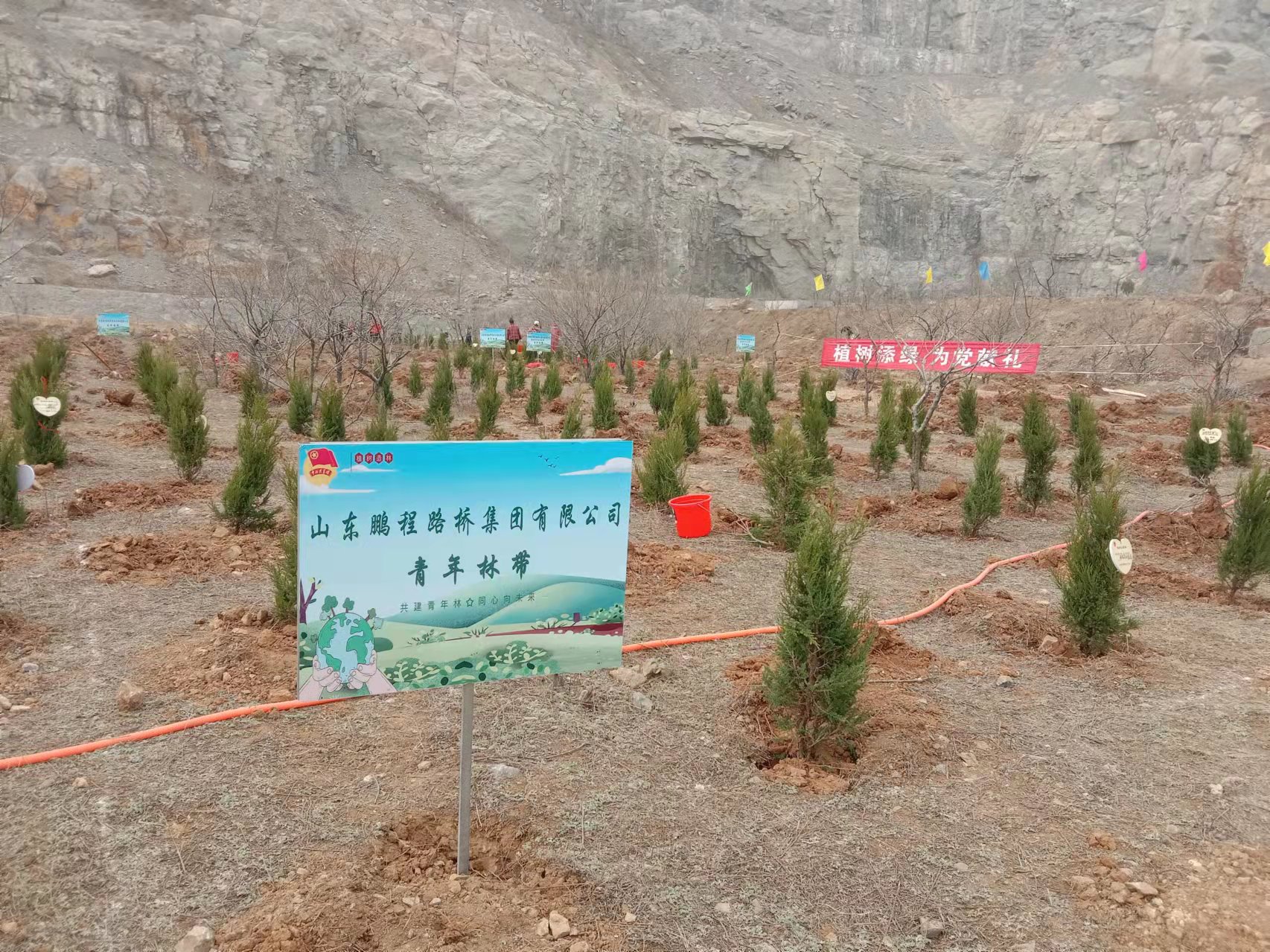 “共筑青年林 同心向未来” ---鹏程集团在行动(图3)