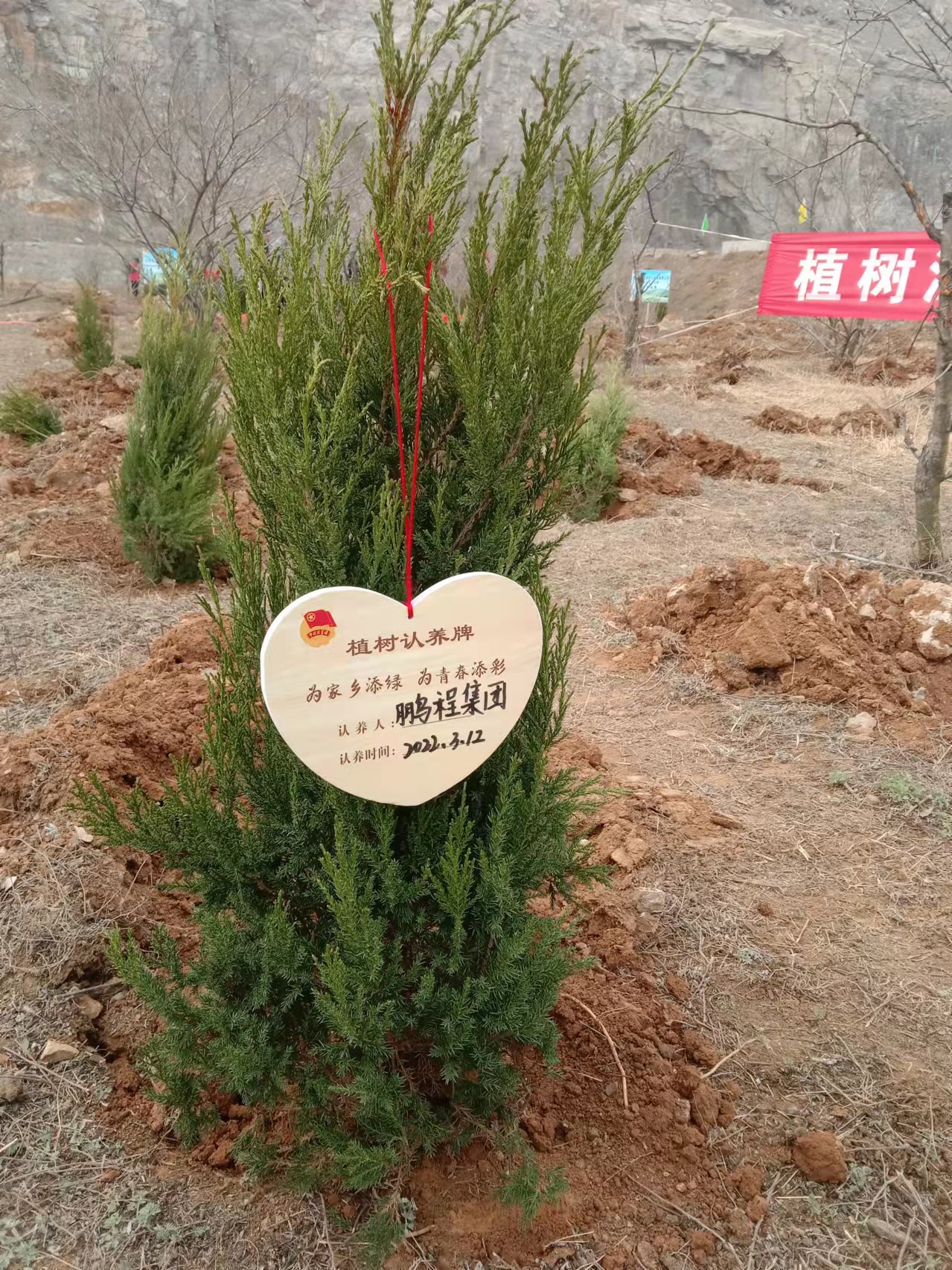 “共筑青年林 同心向未来” ---鹏程集团在行动(图5)